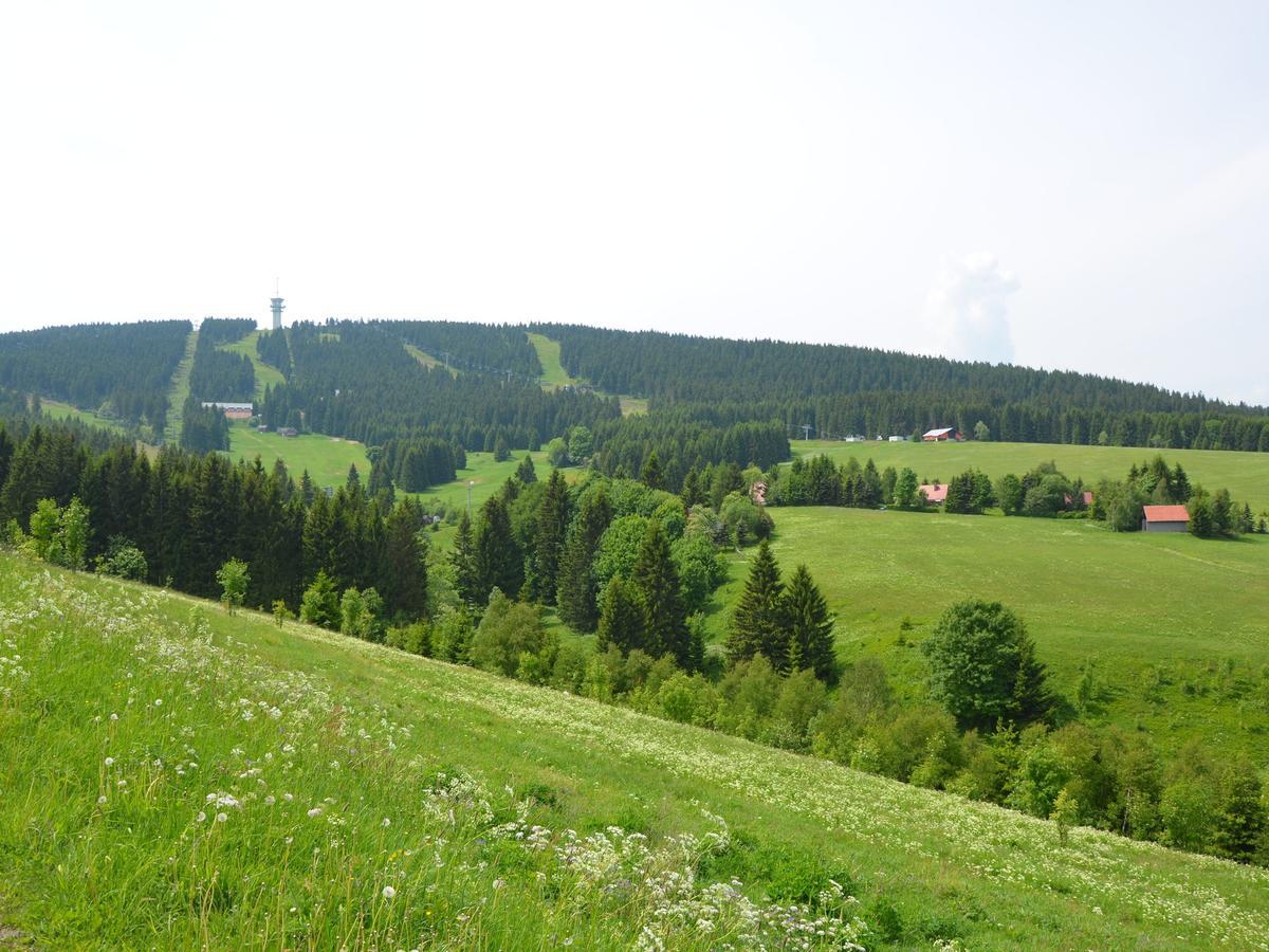 Nice Holiday Home In The Ore Mountains Only 500M From The Chairlift Loučná pod Klínovcem Extérieur photo