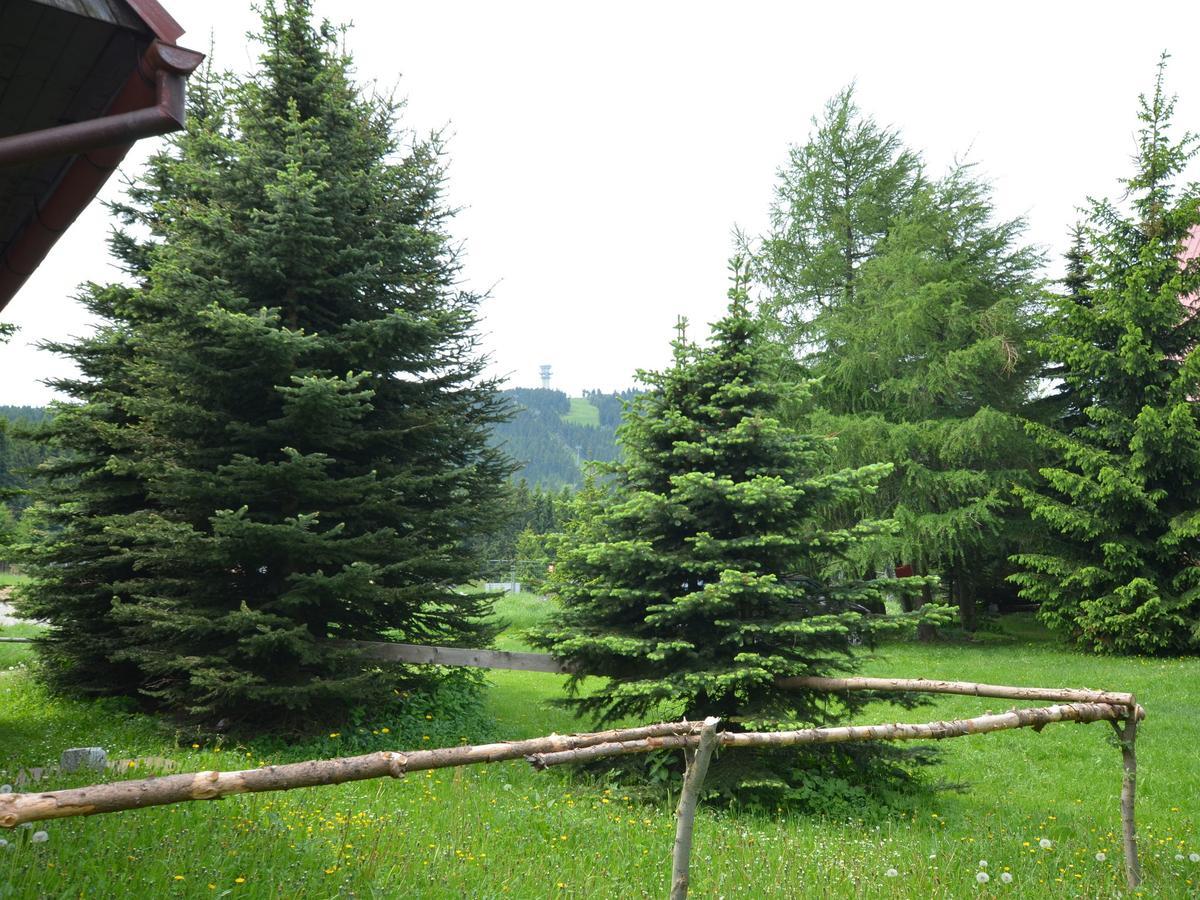 Nice Holiday Home In The Ore Mountains Only 500M From The Chairlift Loučná pod Klínovcem Extérieur photo